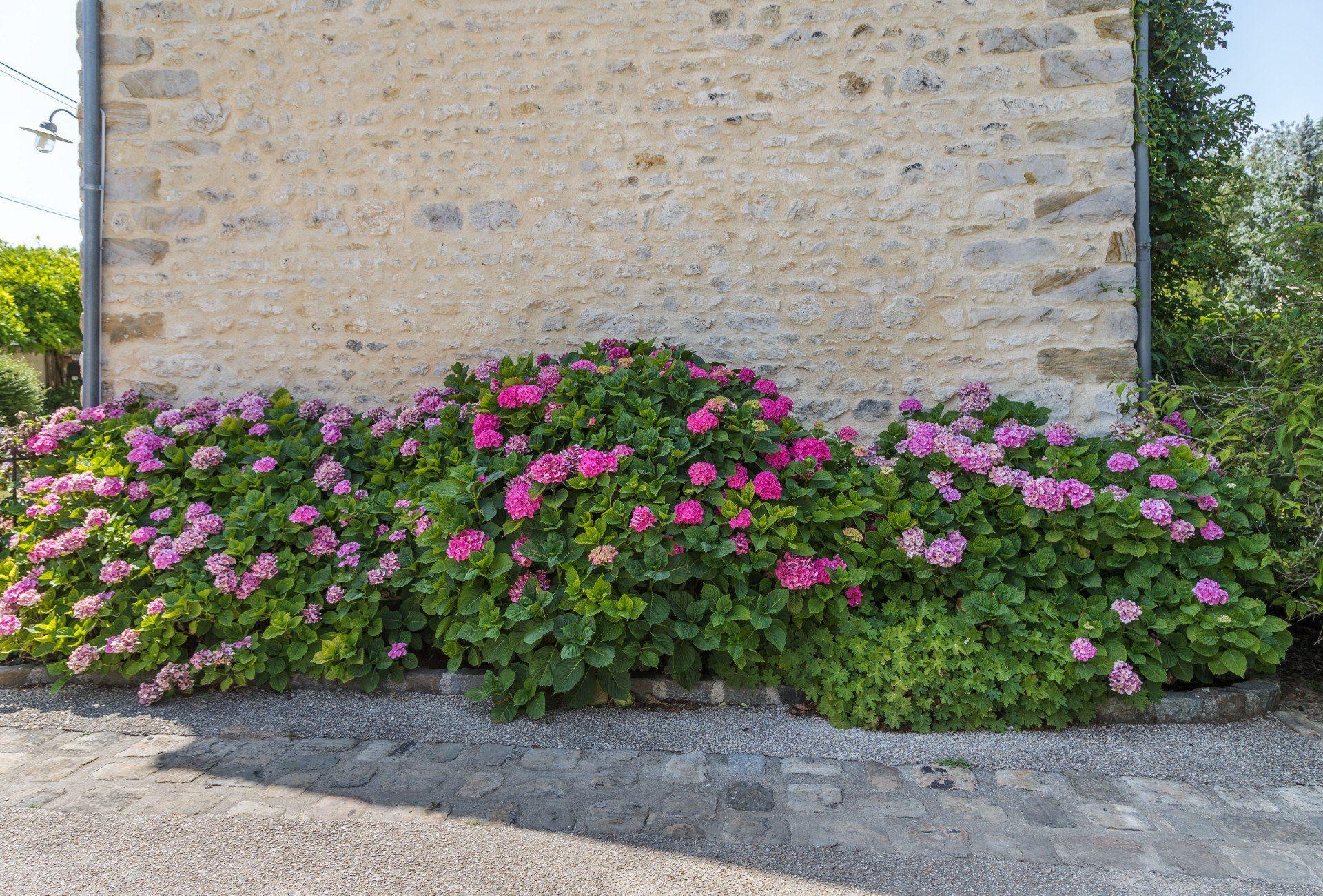 fleurs fleurs