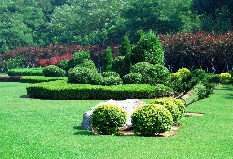 jardin-tondu jardin-tondu